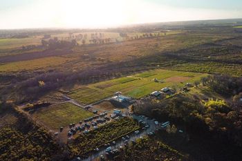 Vinos, recorridas y paisajes: las mejores bodegas de la provincia de Buenos Aires.
