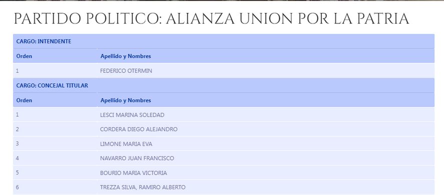 Borraron a Martín Insaurralde de la boleta y lo bajaron de los carteles Borraron a Martín Insaurralde de la boleta y lo bajaron de los carteles