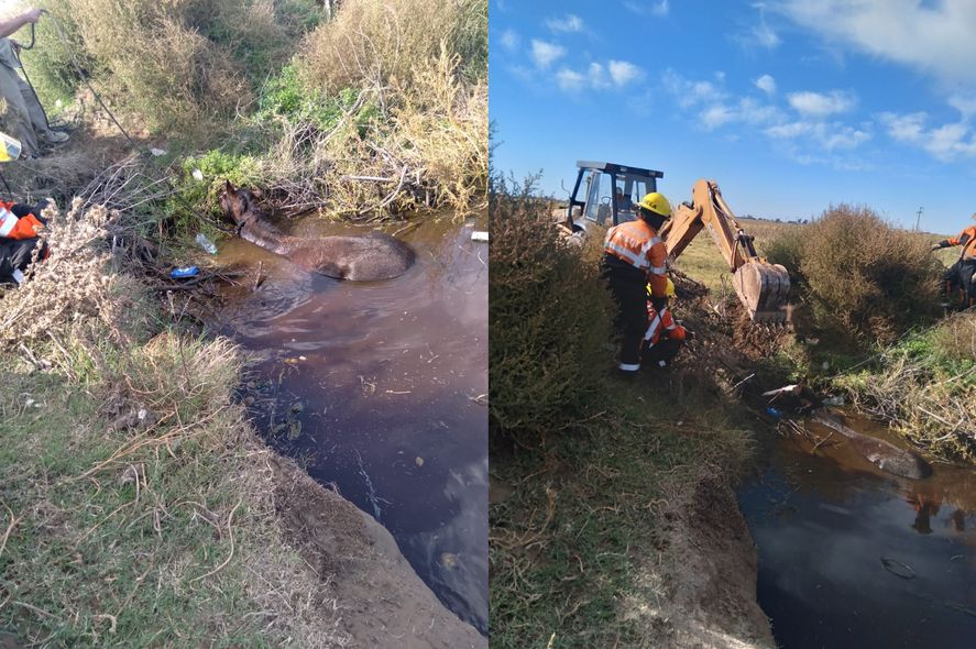 Bomberos Voluntarios debieron recurrir a una grúa de la Municipalidad