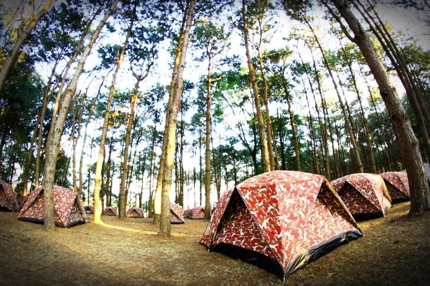 Los campings tendrán protocolos para evitar la propagación de coronavirus