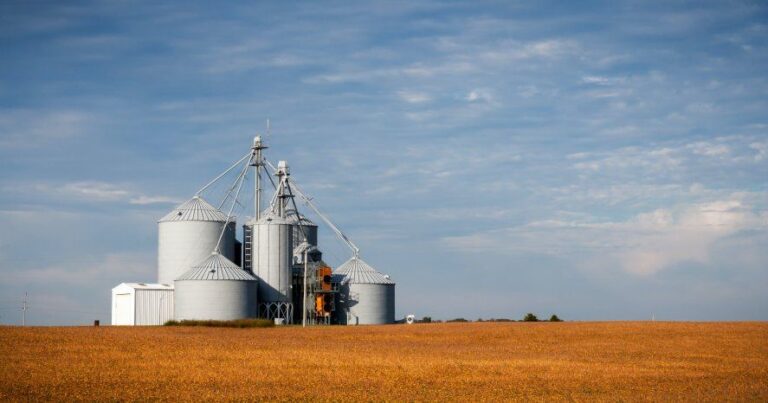 FMI: la Sociedad Rural Argentina pidió eliminar retenciones