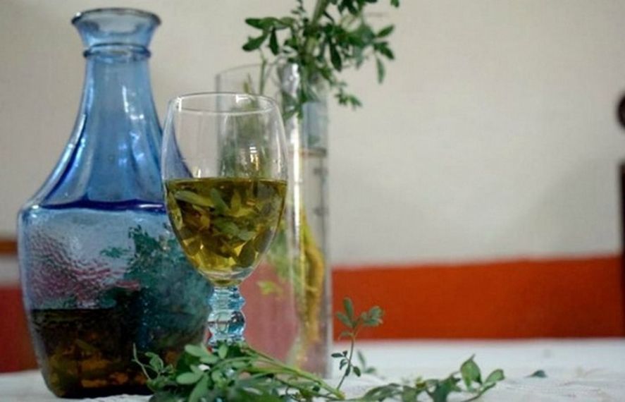 1 de agosto: Cuáles son los beneficios de tomar caña con ruda