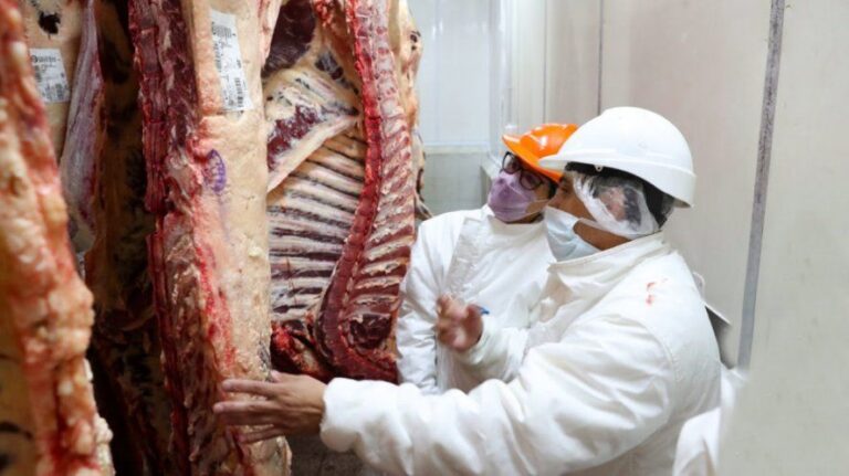 Bolsillos en alerta: ¿Por qué aumentó la carne?
