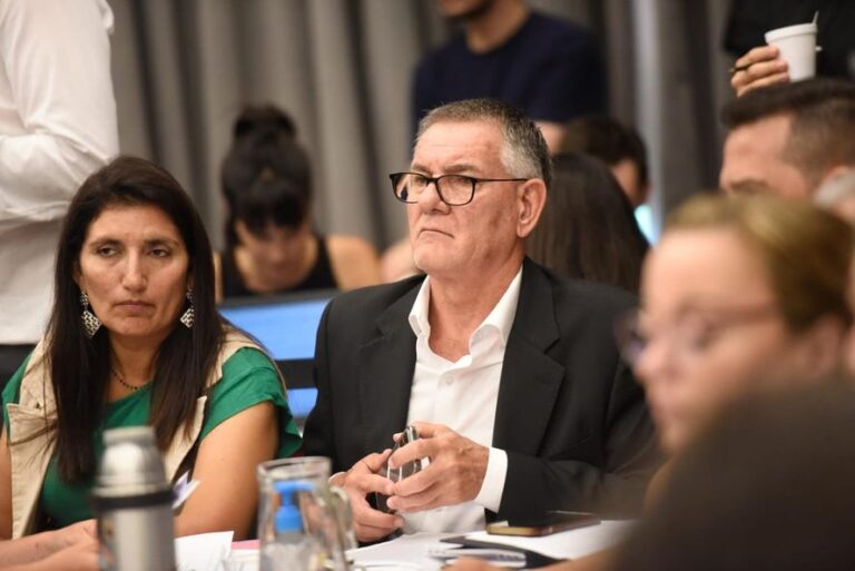 Carlos Castagneto aseguró que “la Ley Ómnibus no la hizo el estado”