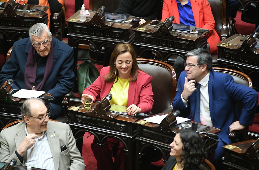 Cecilia Moreau, presidenta de la Cámara de Diputados de la Nación  