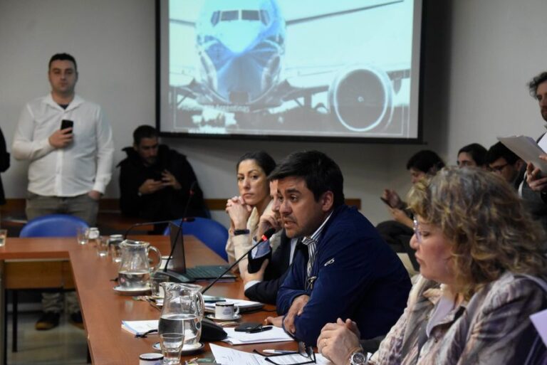Diputados: avanza el proyecto que busca proteger la estatización de Aerolíneas Argentinas