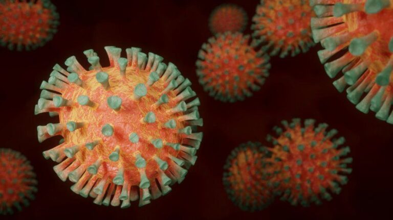 Coronavirus: importante aumento en la detección de casos de las cepas de Manaos y Reino Unido en Argentina