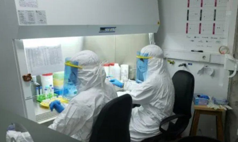 Coronavirus en Argentina: 7.140 nuevos contagios