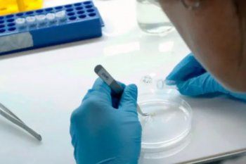Reporte Diario de la situación del Coronavirus en Argentina: 194 nuevas muertes y otros 13.783 nuevos casos confirmados. 