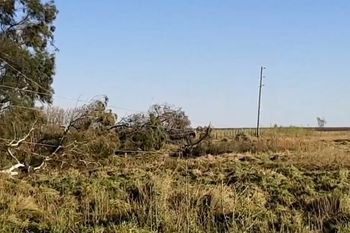 Temporal tumbó 12 km de torres eléctricas y dejó sin luz a Daireaux (Foto Radio Mas Daireaux)