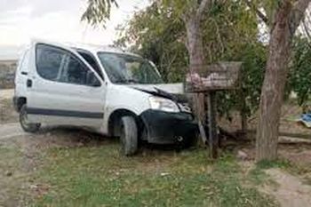 robo una camioneta de mercado libre y choco contra un arbol