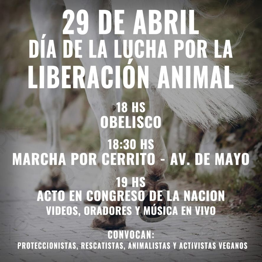 El epicentro de la marcha por el Día del Animal será el Obelisco