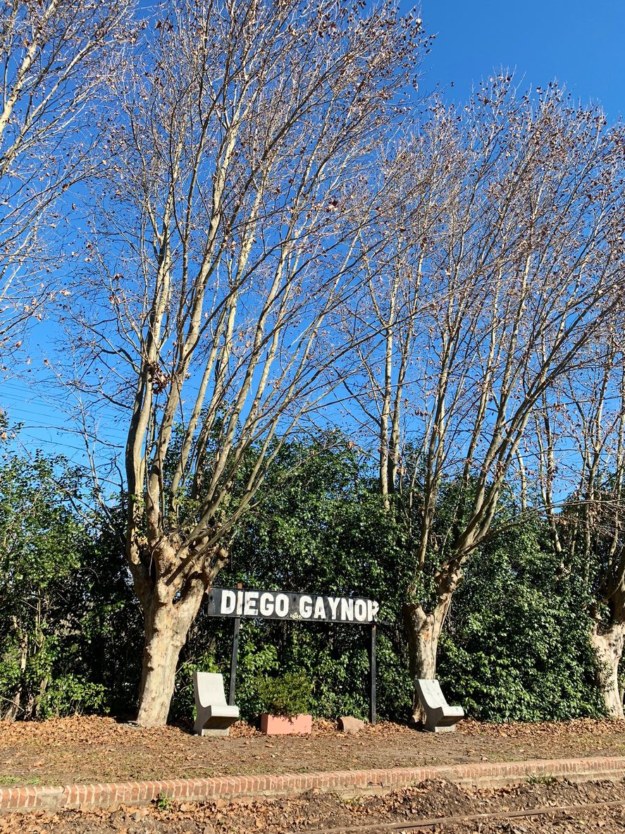 Diego Gaynor En su recorrida bonaerense el joven Guido Rodríguez propone donde para a comer en 10 pueblos pequeños de 10 distritos diferentes en el interior de la provincia de Buenos Aires 