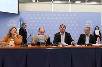 Diputados: Avanza el proyecto de alivio para monotributistas