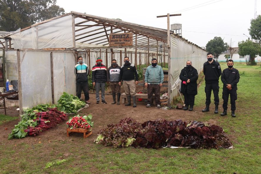 Las verduras fueron donadas a un hospital de La Plata