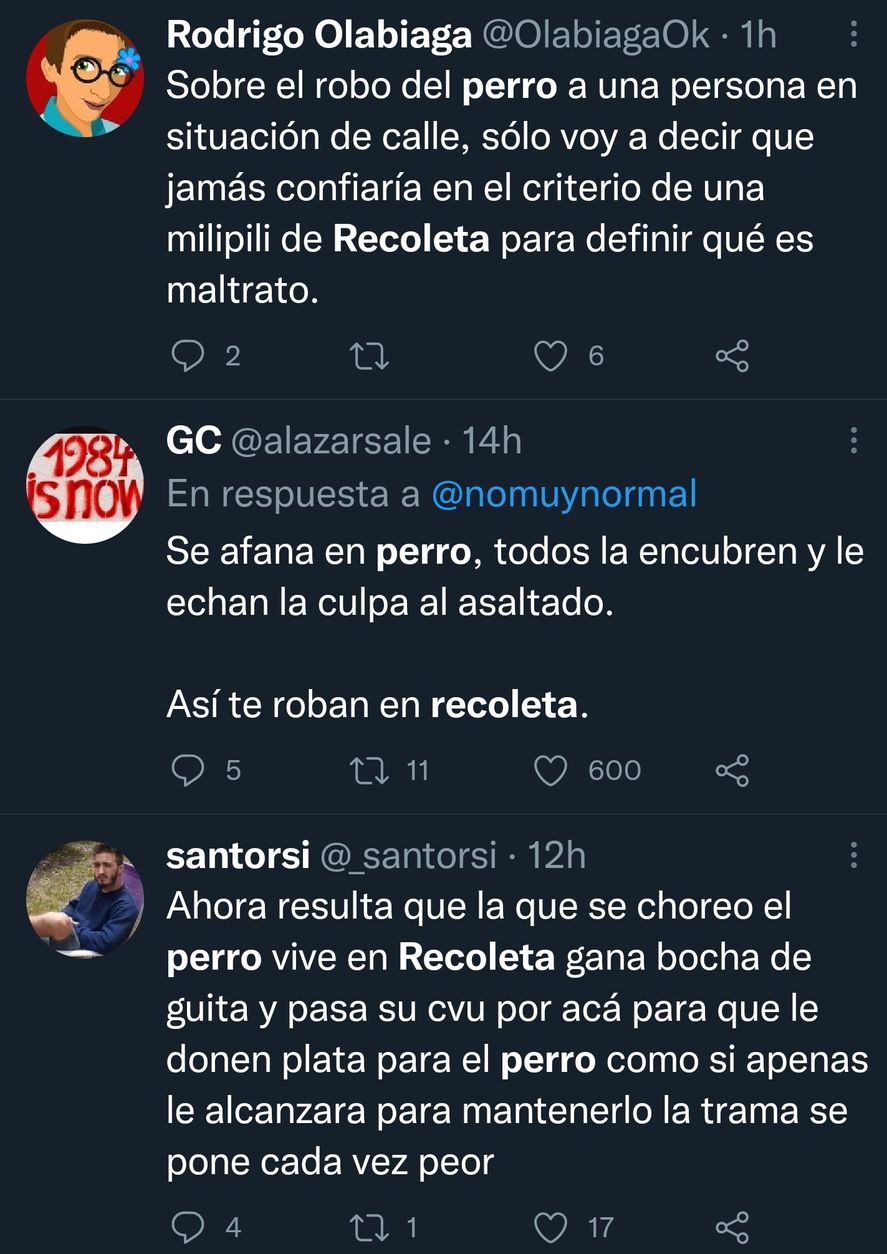 Duras réplicas a la joven por el robo del perro a una persona en situación de calle 