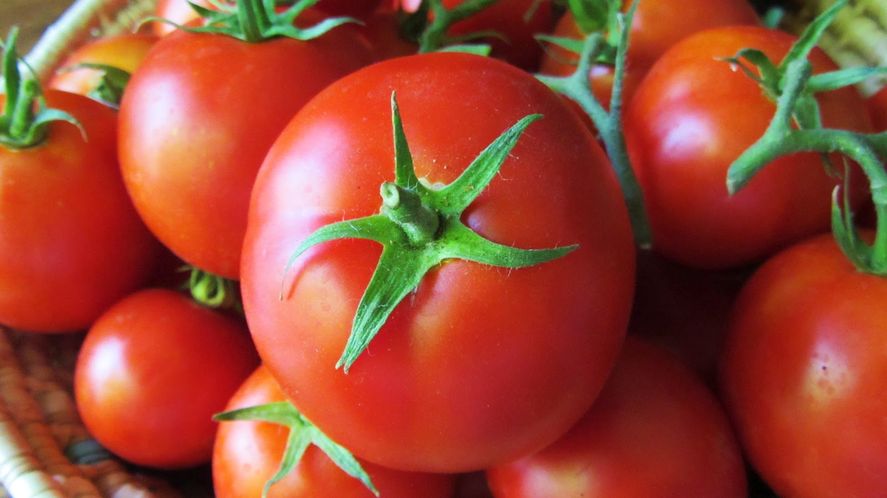 El biotecnólogo Agustín Colombier denunció que Greenpeace realizó una publicación sin fundamento científico acerca del sabor del tomate. 