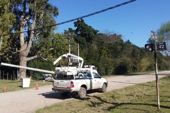EDELAP instala nuevas columnas de hormigón en La Plata, Berisso y Ensenada
