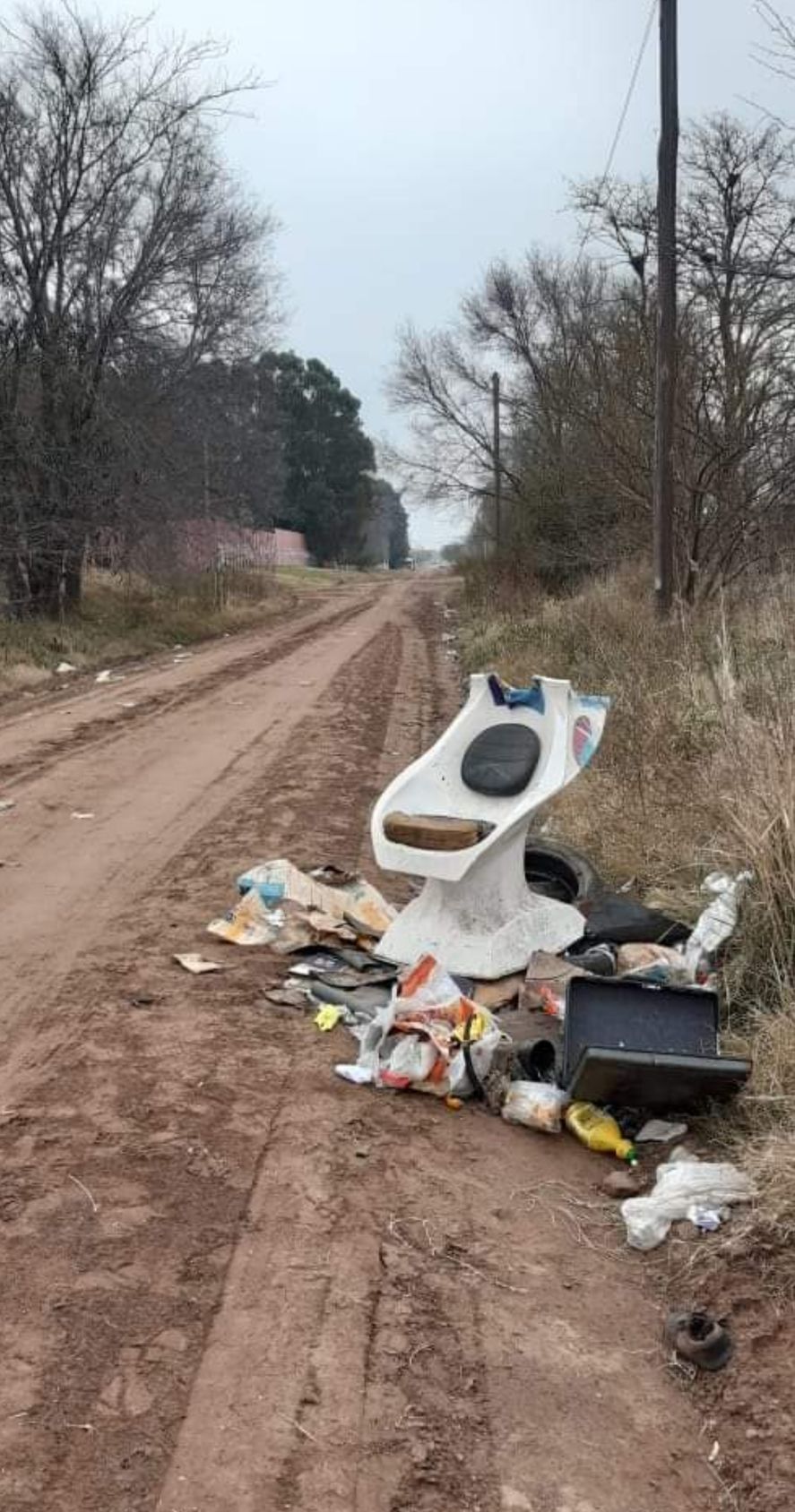 El montículo de basura hallado por el Intendente de Pehuajó, Pablo Zurro 