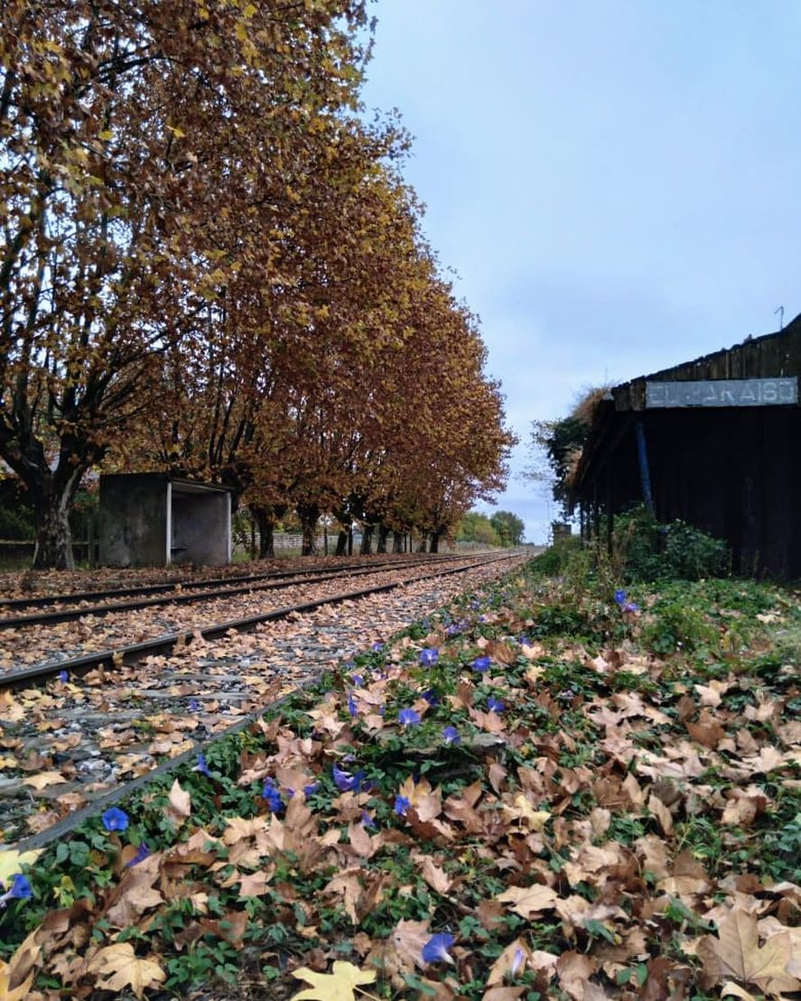 Estación de trenes de El Paraíso.