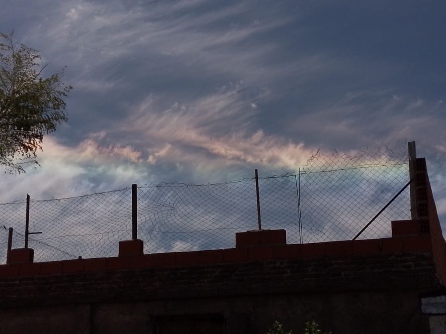 El SMN informó el pronóstico para hoy en la capital de la provincia de Buenos Aires. Mirá cómo va a estar el tiempo en la ciudad. El SMN informó el pronóstico para hoy en la capital de la provincia de Buenos Aires. Mirá cómo va a estar el tiempo en la ciudad.