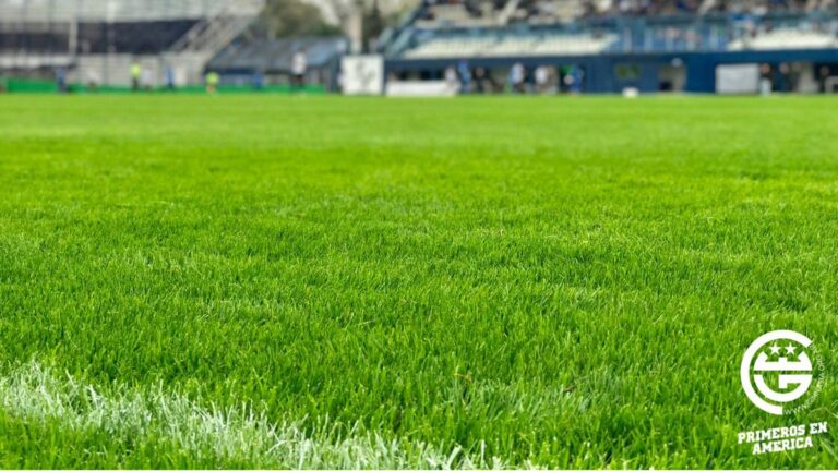 Gimnasia vuelve a jugar en el Bosque