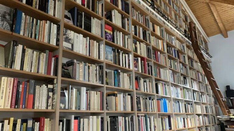 La columna de Eva Martins sobre organización de espacios: el orden de los libros.