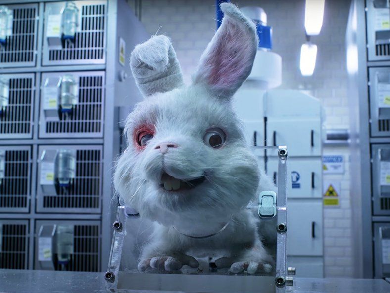 Save Ralph puso en cuestión la experimentación en animales para la industria de cosméticos