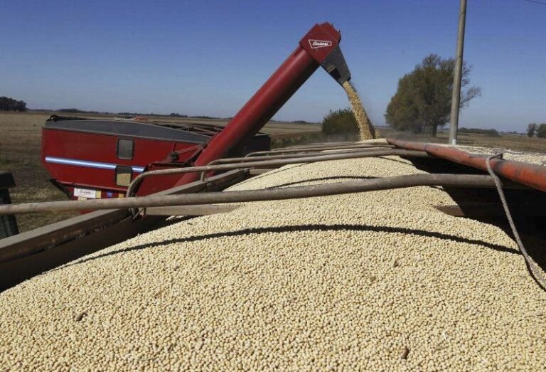 El campo exportó casi un 40% menos en el primer trimestre