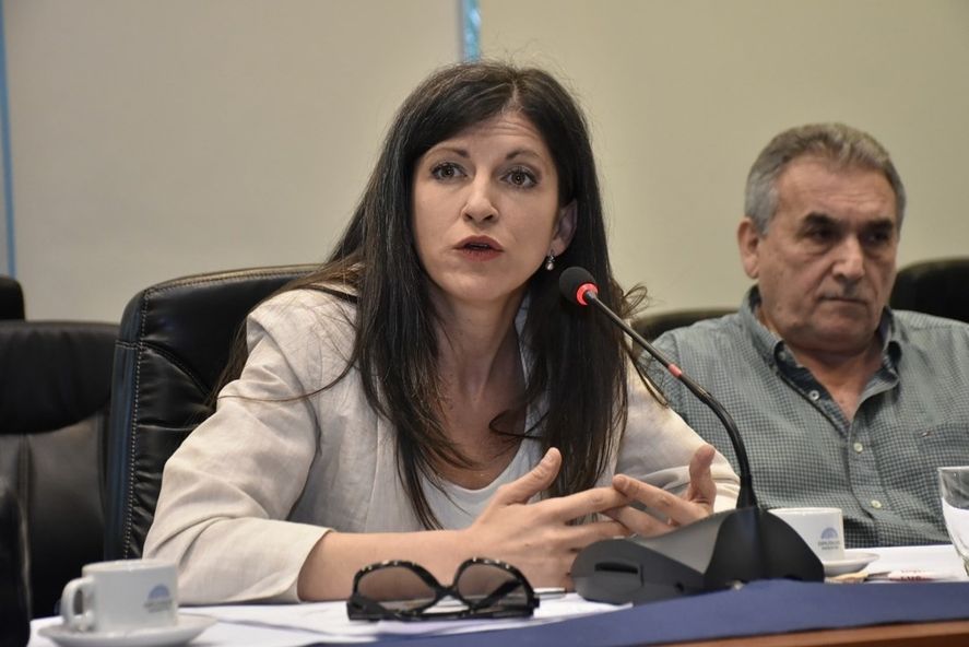 Fernanda Vallejos es una de las economistas predilectas de Cristina Fernández de Kirchner.