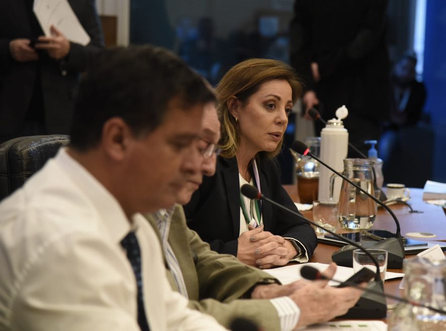 Javier Milei designó a Flavia Royón como secretaria de Minería de la Nación. Javier Milei designó a Flavia Royón como secretaria de Minería de la Nación.