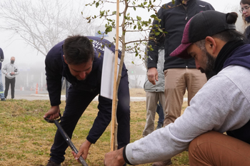Plantaron árboles en las rutas 7 y 5 en el marco del plan de forestación