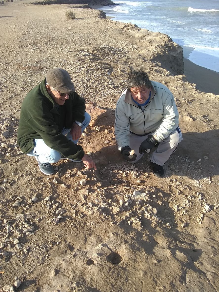 Fue en los acantilados frente al vivero