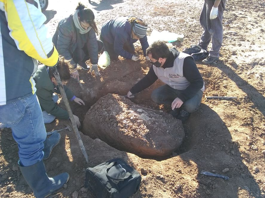 En Miramar, pescadores encontraron fósiles de un perezoso que podría ser del Pleistoceno tardío, de unos 100 mil años de antigüedad.