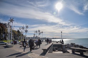 fin de semana largo: como funcionara la recoleccion de residuos y otros servicios en mar del plata