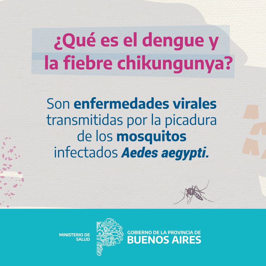 El Ministerio de Salud de la provincia de Buenos Aires lanzó una serie de recomendaciones sobre qué hacer ante un contagio de dengue o fiebre chikungunya.