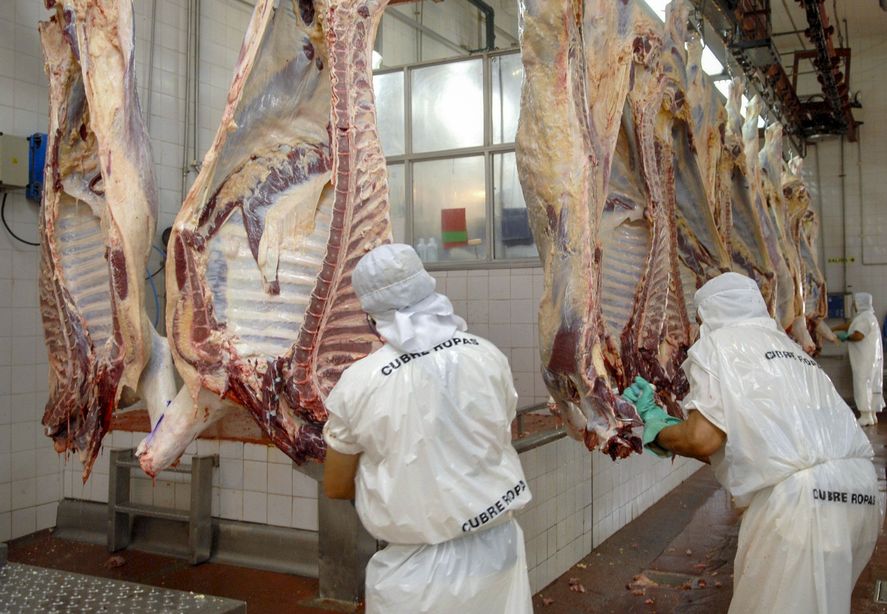 Azul: La Aduana suspendió a frigorífico exportador por “triangular ventas”