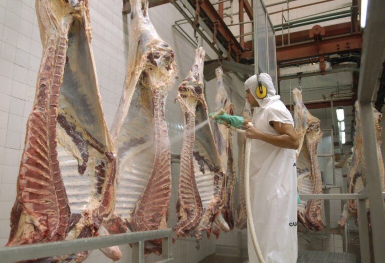 Azul: La Aduana suspendió a frigorífico exportador por “triangular ventas”