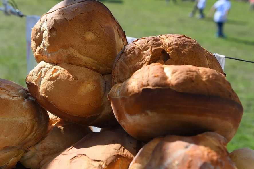 El domingo 17 de septiembre se realizará la 6° edición de la Fiesta de la Galleta de Campo de Brandsen. El domingo 17 de septiembre se realizará la 6° edición de la Fiesta de la Galleta de Campo de Brandsen.