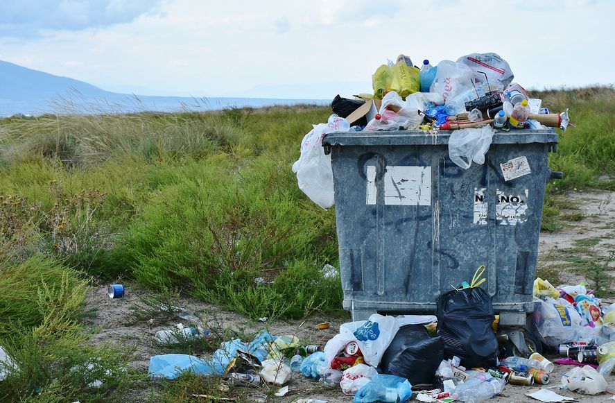 Este año la Organización de las Naciones Unidas (ONU) conmemorará el Día Mundial del Medio Ambiente bajo el lema 