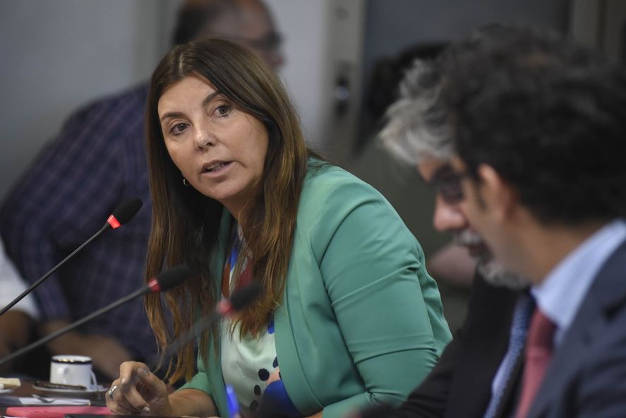 Germana Figueroa Casas encabeza la lista de legisladores nacionales con propiedades en alquiler. Germana Figueroa Casas encabeza la lista de legisladores nacionales con propiedades en alquiler.