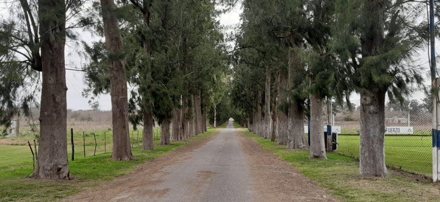 Ingreso a Estancia Chica