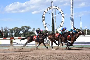 Turf histórico en el hipódromo de La Plata