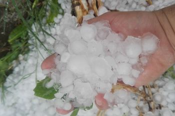 destrozos por granizo, vientos y tormentas: asi fue el temporal en la provincia