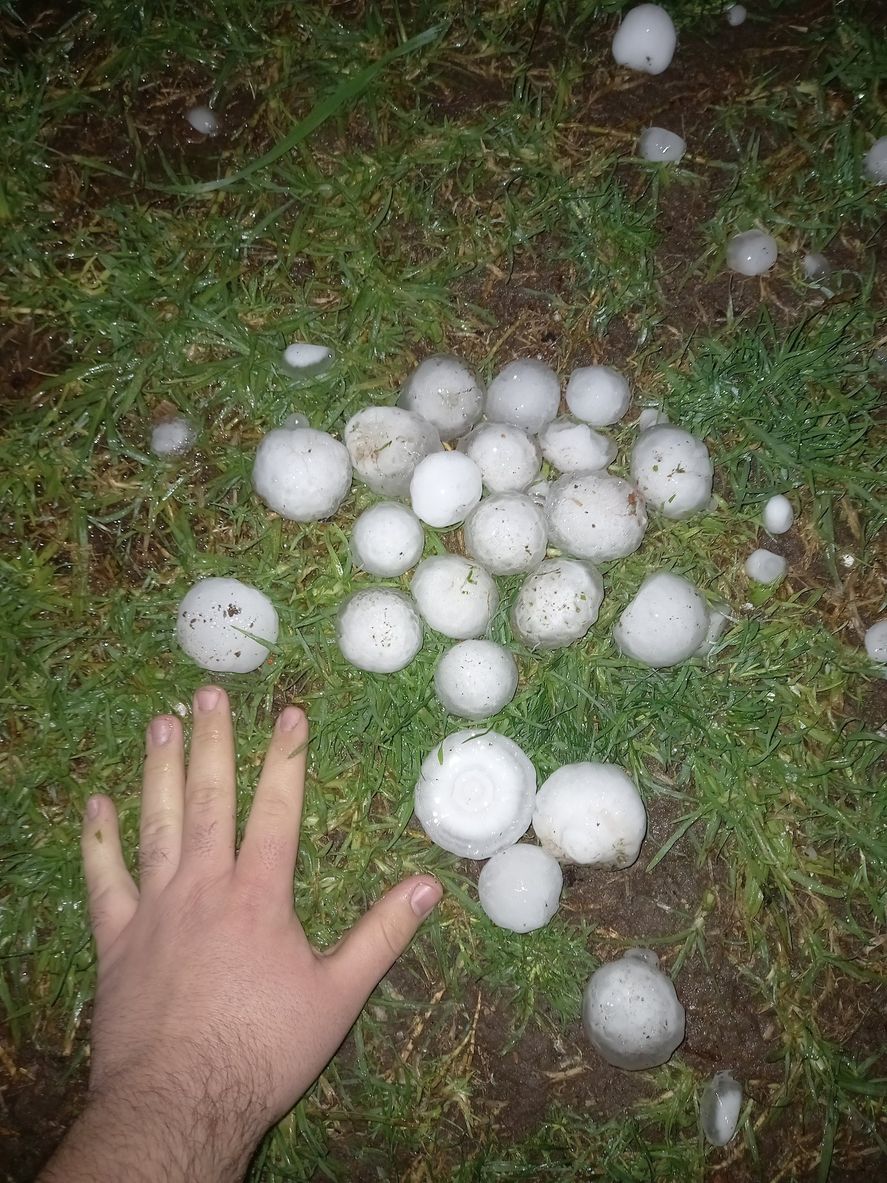 En la ciudad bonaerense de Pergamino cayó granizo del tamaño de una pelota de tenis, que provocó daños en viviendas y vehículos. En la ciudad bonaerense de Pergamino cayó granizo del tamaño de una pelota de tenis, que provocó daños en viviendas y vehículos.