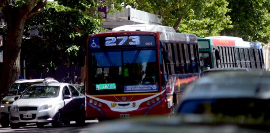 La Municipalidad de La Plata informó cómo se desarrollará el funcionamiento de los diversos servicios municipales durante el asueto y el feriado de Año Nuevo.