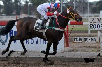 Vuelve el turf a la Provincia. La última carrera fue el 17 de marzo en La Plata.