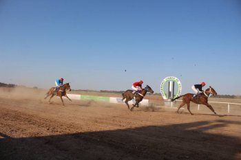 El hipódromo de Dolores, cerrado, como las agencias, por la pandemia.