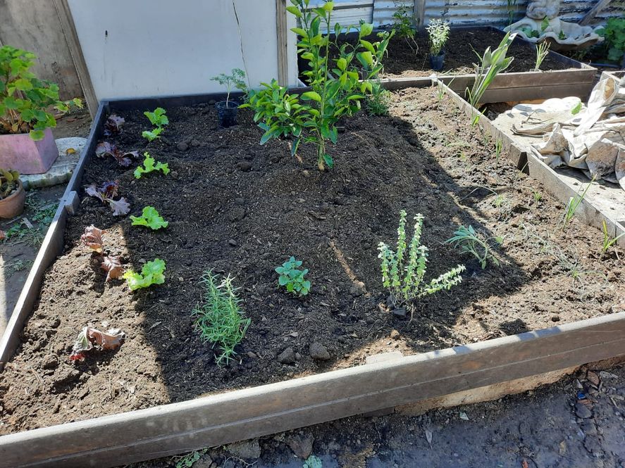 Se trata de una huerta de madera reciclada