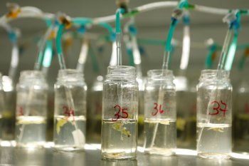 La Corte Suprema de Justicia confirmó que el agua de Pergamino está contaminada